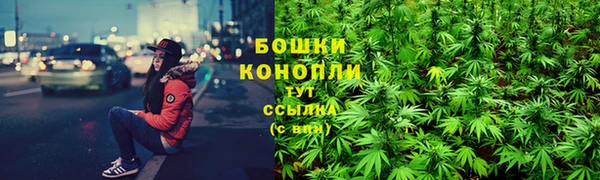 бошки Козельск