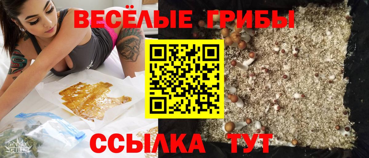 Псилоцибиновые грибы Magic Shrooms  Учалы  Галлюциногенные грибы прущие грибы 