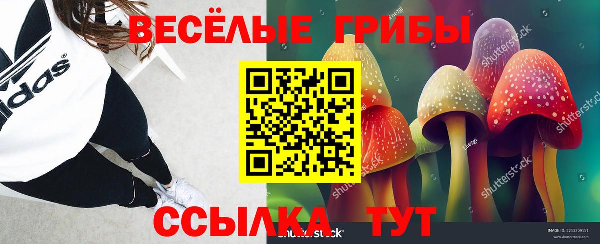 Учалы  Галлюциногенные грибы Psilocybe  Вход с VPN 